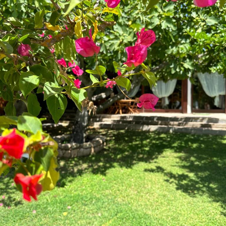 Villa Niloan Olbia - Villa con 2 Camere da Letto - 30