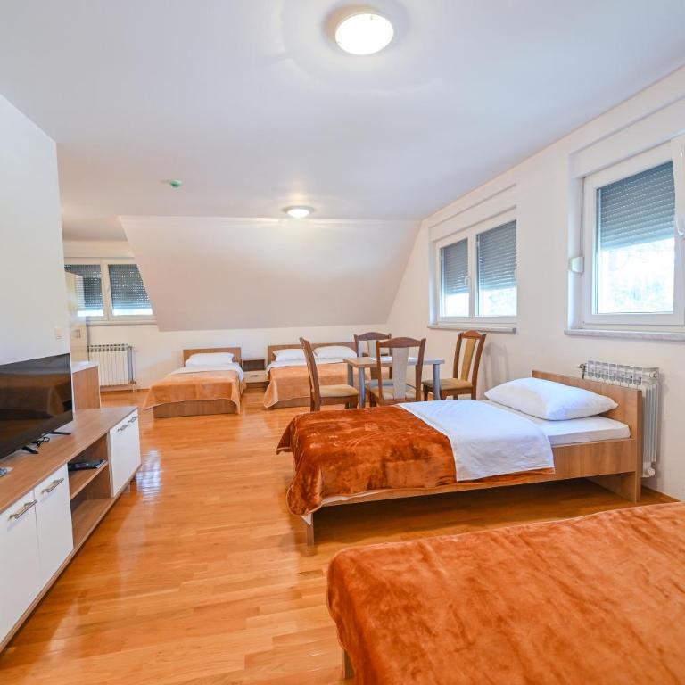 Hotel SLJIVNO - Apartman - 5