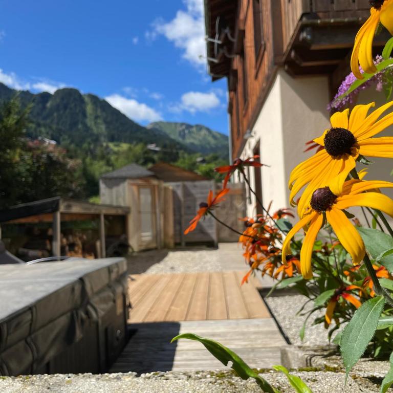 Chalet Belle Folie - Maison de Vacances - 60