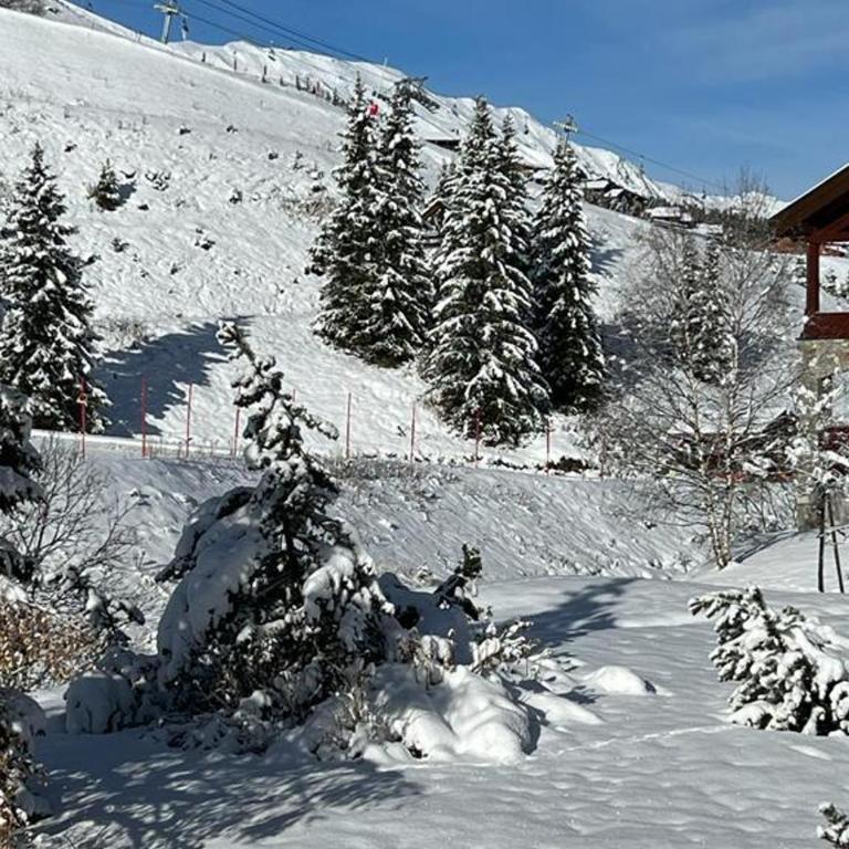 Charmant Duplex Calme Proche Pistes/Commerces avec Terrasse - FR-1-688-49 - Appartement - 12