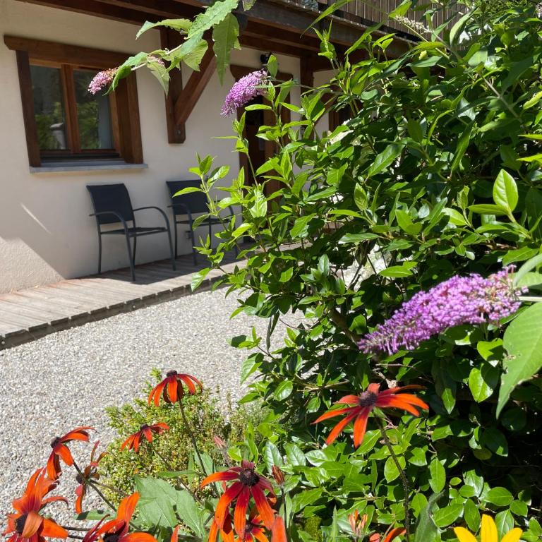 Chalet Belle Folie - Maison de Vacances - 59