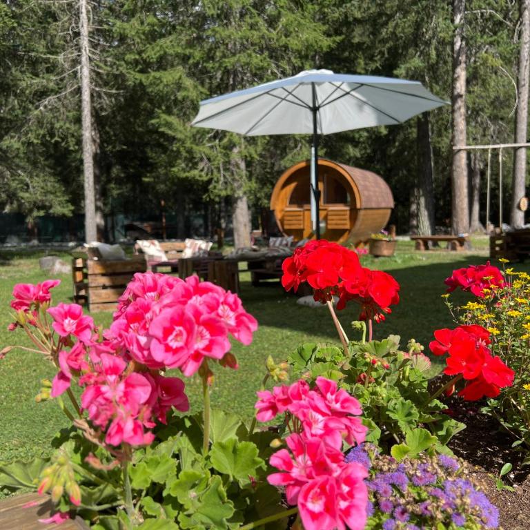 WILDHOMES Wild Wolf Lodge - Appartamento con 3 Camere da Letto - 15