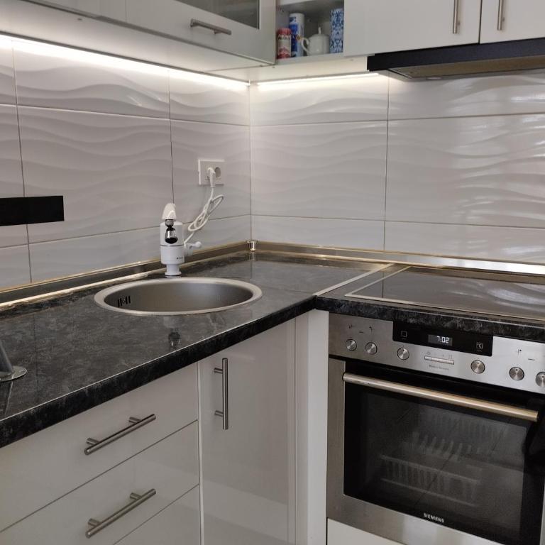 Apartman Downtown - Apartman sa 1 Spavaćom Sobom - 11