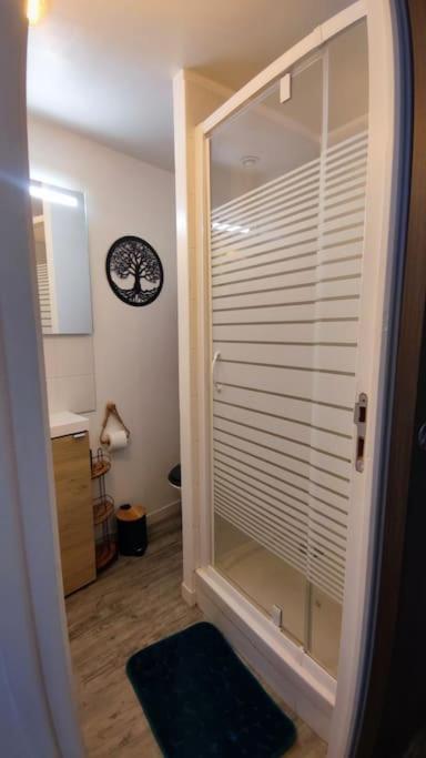 Le Joli’Mans, appartement refait à neuf, entièrement équipé, pour 2 personnes, proche quartier historique et centre - Appartement 1 Chambre - 19