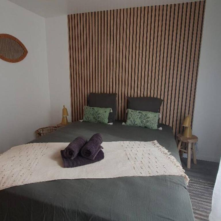 Le Joli’Mans, appartement refait à neuf, entièrement équipé, pour 2 personnes, proche quartier historique et centre - Appartement 1 Chambre - 16
