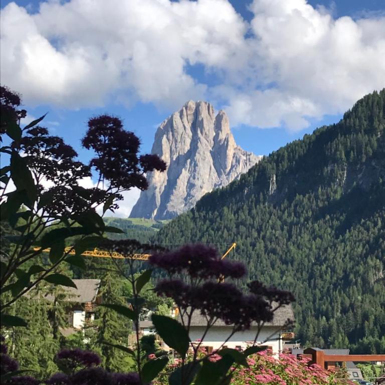Apartments Chalet Anna - Appartamento con 1 Camera da Letto - 13