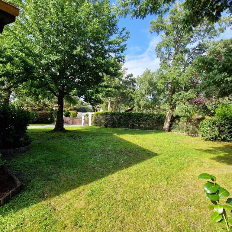 Villa Elizalde Moliets - climatisée, piscine chauffée, vélos et surfs inclus - Villa - 7