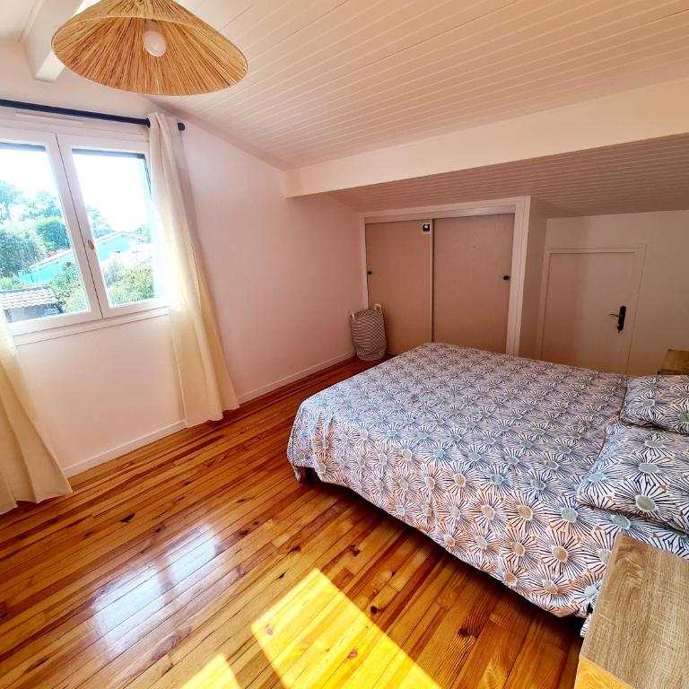 Villa Elizalde Moliets - climatisée, piscine chauffée, vélos et surfs inclus - Villa - 28