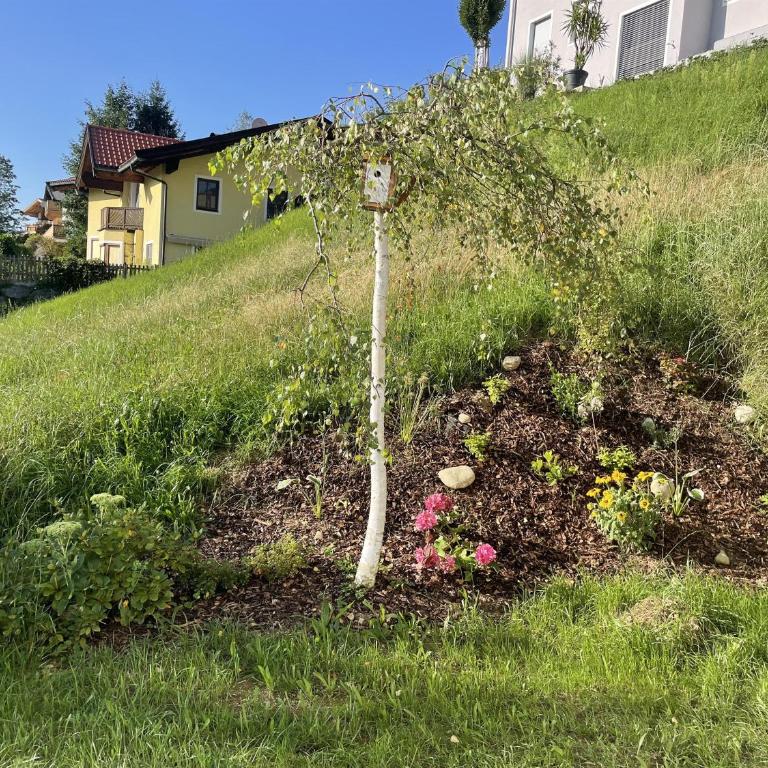 Haus SaRo - Apartment mit 2 Schlafzimmern und Badezimmer - 10