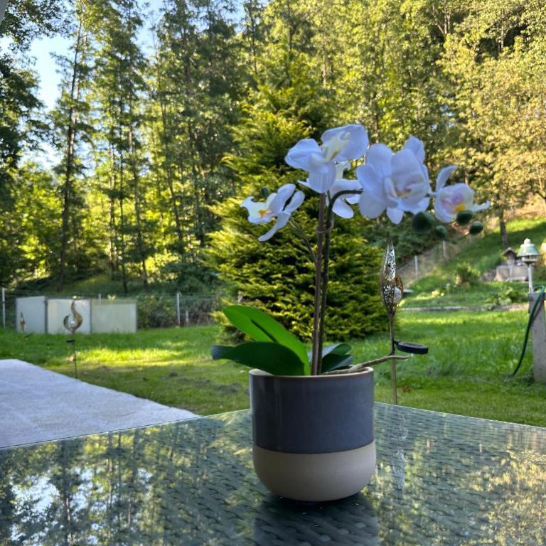 Pöstlingbergoase - Apartment mit Gartenblick - 26
