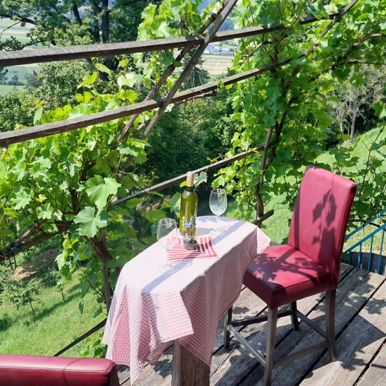 Panorama-Kellerstöckl - Ferienhaus - 16