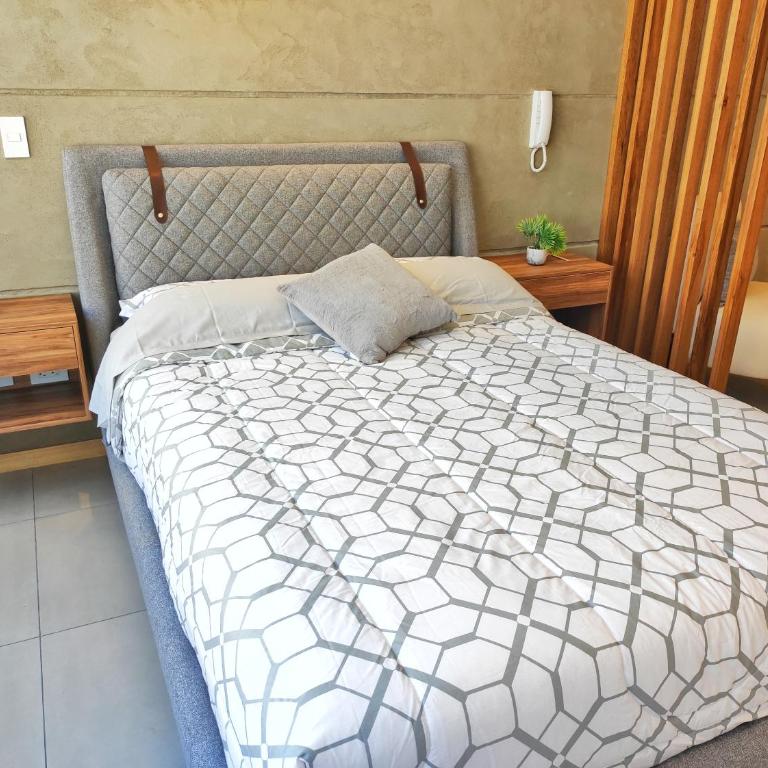 Charming Studio Quito Carolina Coliving Ecuador - One-Bedroom Apartment - 31