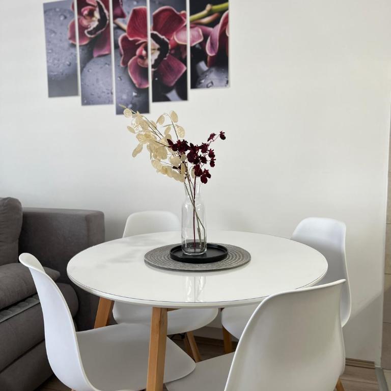 R Lux Apartman Jagodina Akva Park - Apartman sa 1 Spavaćom Sobom - 65