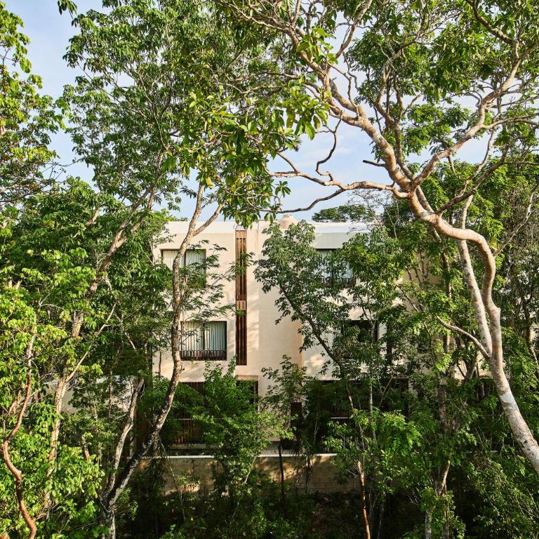 Afra 3 Beautiful jungle house with private pool - Casa de 2 dormitorios - 13