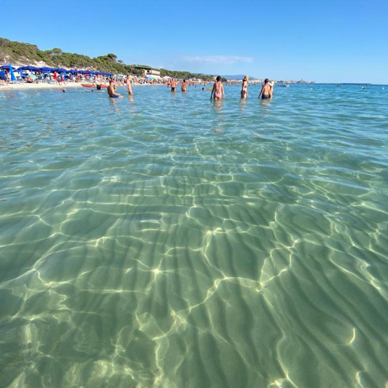 Appartamento Isola Catalana - Two-Bedroom Apartment - 34