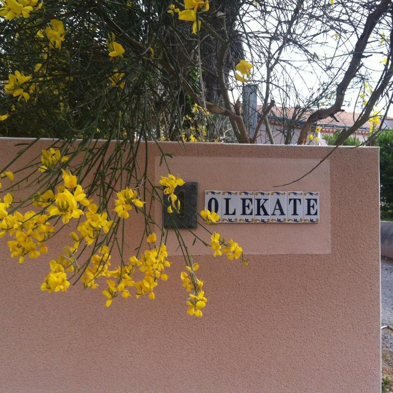 Olékaté - Apartamento - 80