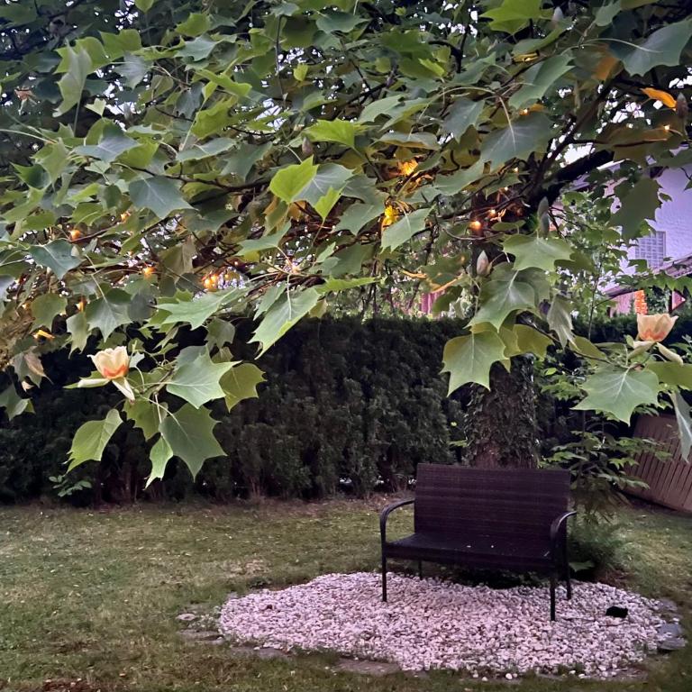Haus mit Garten - Ferienhaus - 42