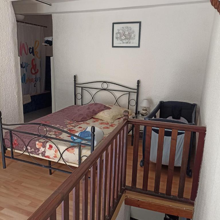 Duplex meublé Mercantour - Appartement 1 Chambre - 1