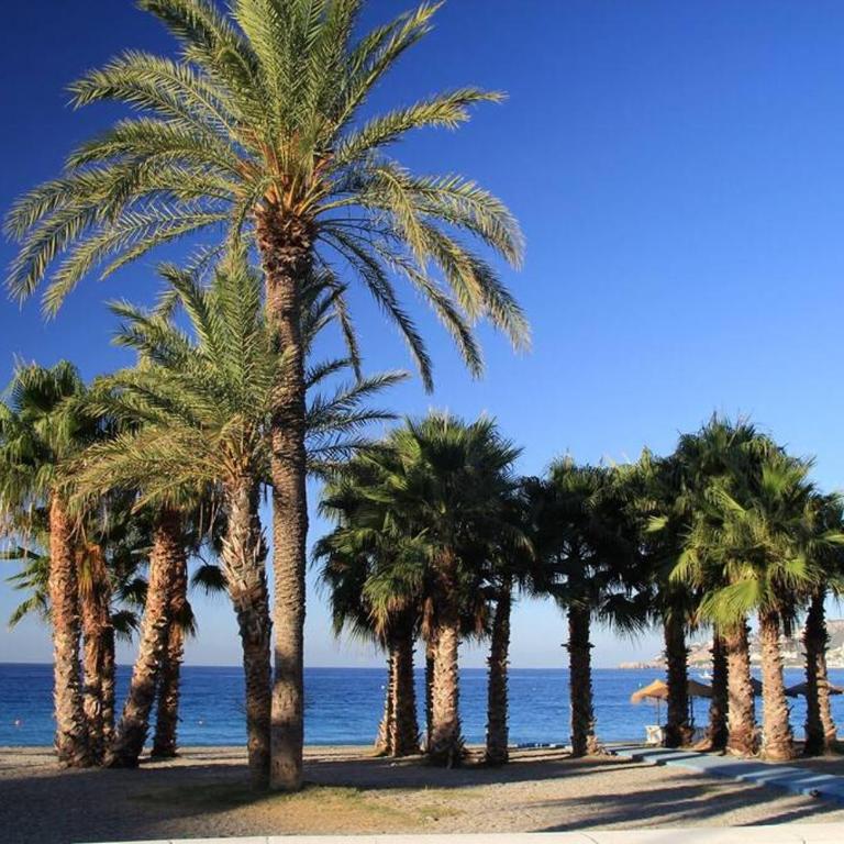 Acogedor apartamento con 3 piscinas en primera línea de playa - Apartamento de 2 dormitorios - 35
