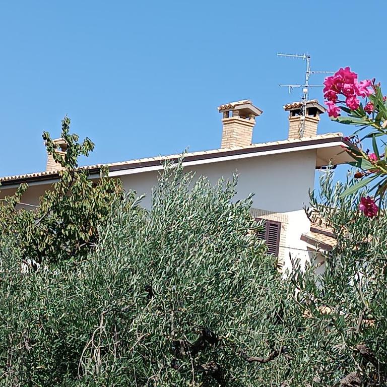 B&B "LE LUCI" SUPER CAMERA IN ATTICO interno 3 rose rosse - Camera Matrimoniale - 5