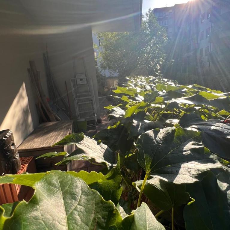 Garden Suite - Appartamento con 2 Camere da Letto - 29