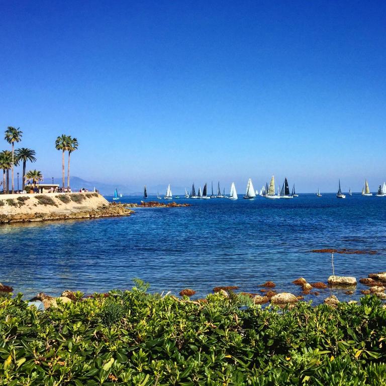 Cozy 1 bedroom apartment Antibes Juan-les-Pins - walk to beaches, restaurants, old town - Appartement 1 Chambre - 32