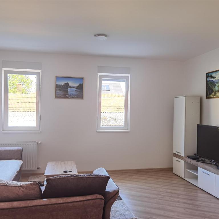Apartman Romansa Banja Koviljaca - Apartman sa 1 Spavaćom Sobom - 1