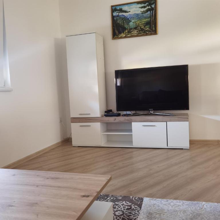 Apartman Romansa Banja Koviljaca - Apartman sa 1 Spavaćom Sobom - 7
