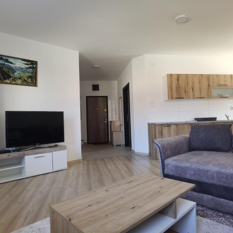 Apartman Romansa Banja Koviljaca - Apartman sa 1 Spavaćom Sobom - 9