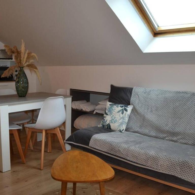 Appartement Le Filaterie sous les toits - Appartamento con 1 Camera da Letto - 7