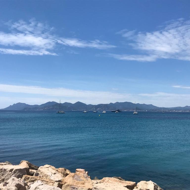 Cozy 1 bedroom apartment Antibes Juan-les-Pins - walk to beaches, restaurants, old town - Appartement 1 Chambre - 34