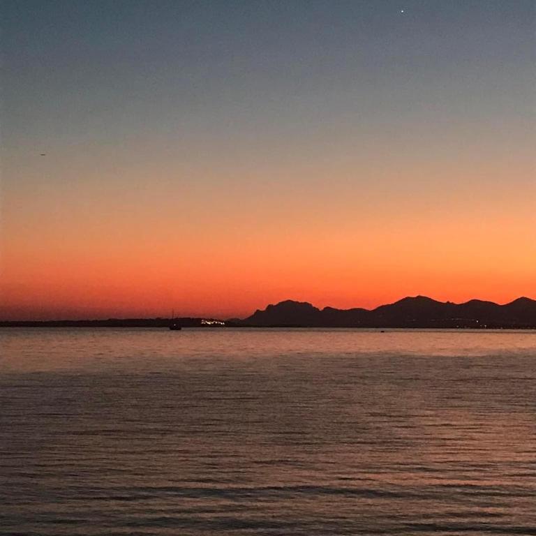 Cozy 1 bedroom apartment Antibes Juan-les-Pins - walk to beaches, restaurants, old town - Appartement 1 Chambre - 35