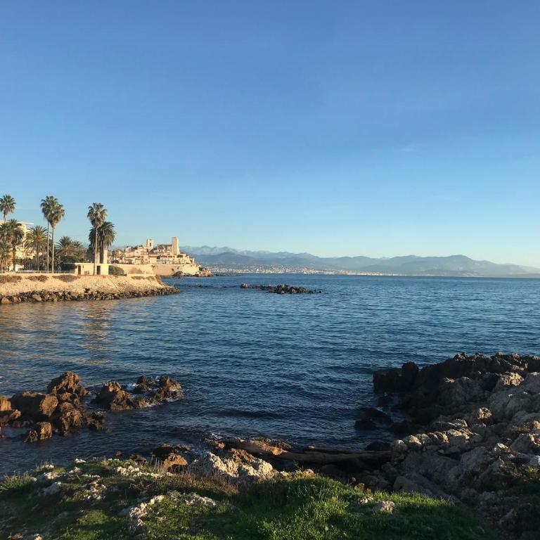 Cozy 1 bedroom apartment Antibes Juan-les-Pins - walk to beaches, restaurants, old town - Appartement 1 Chambre - 37