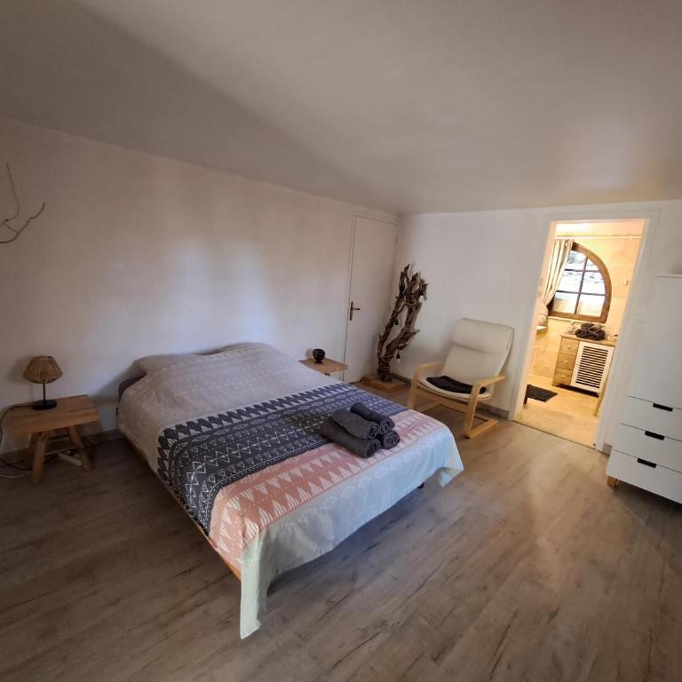 Bas de villa au chant des cigales - Appartement 1 Chambre - 13