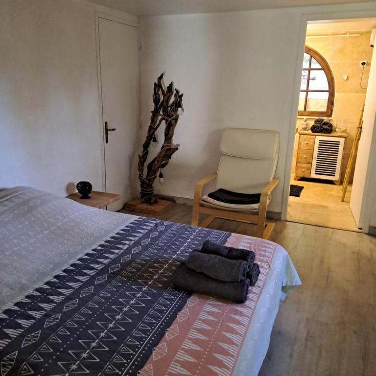 Bas de villa au chant des cigales - Appartement 1 Chambre - 12