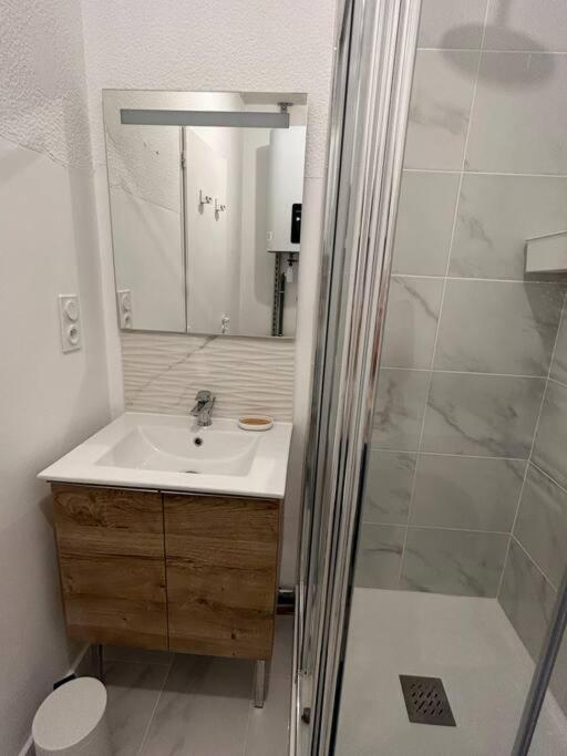 Au Cœur de Toulouse - Carmes - Appartamento con 1 Camera da Letto - 6