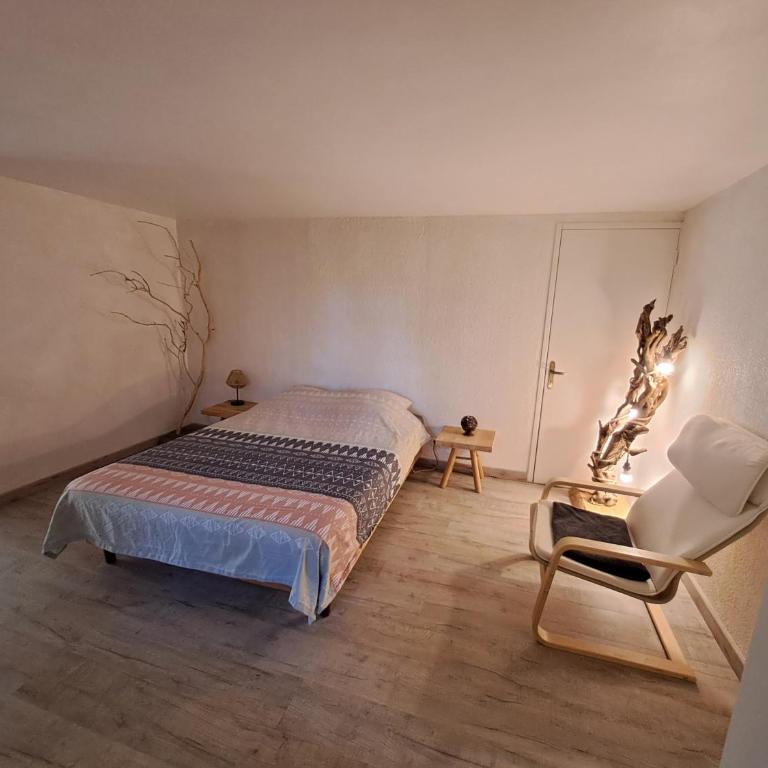 Bas de villa au chant des cigales - Appartement 1 Chambre - 11