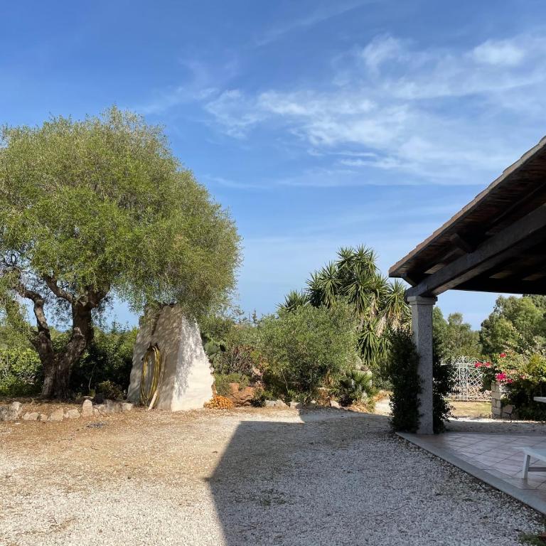Villa Su Trechesu - Appartamento con 2 Camere da Letto - 14