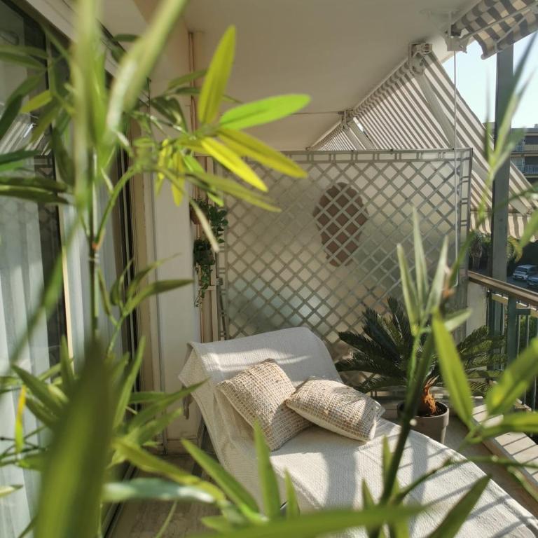 2 bedrooms seafront - Appartement 2 Chambres - 45