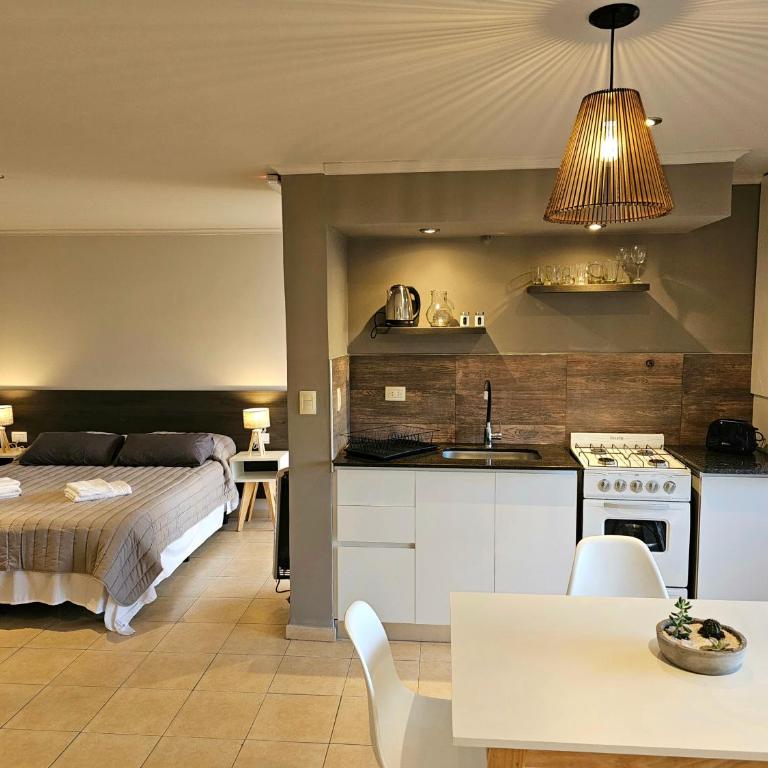 Departamento malbec cosecha 2 - Apartamento de 1 dormitorio - 3