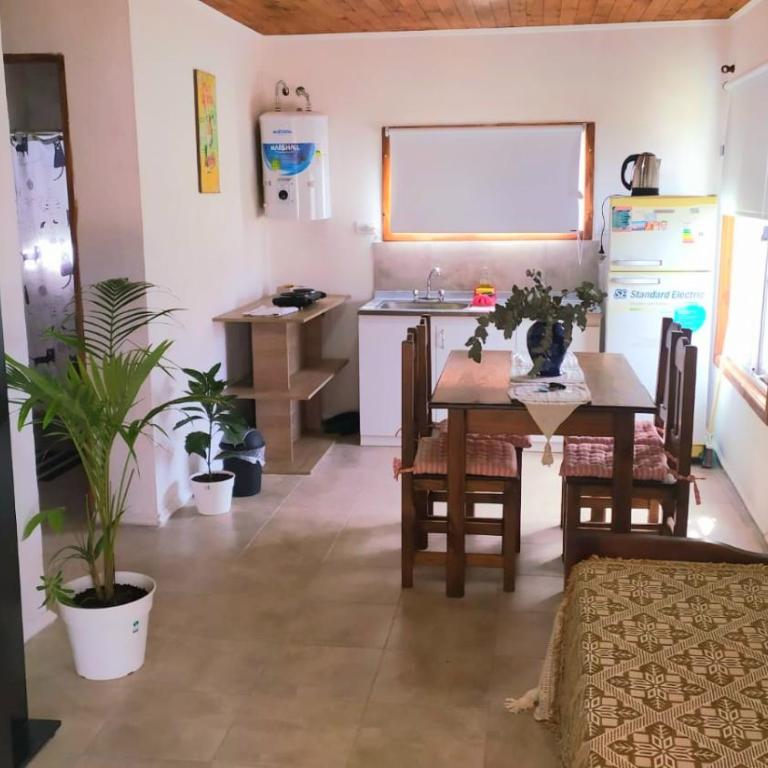 Luna Nueva - One-Bedroom Apartment - 1