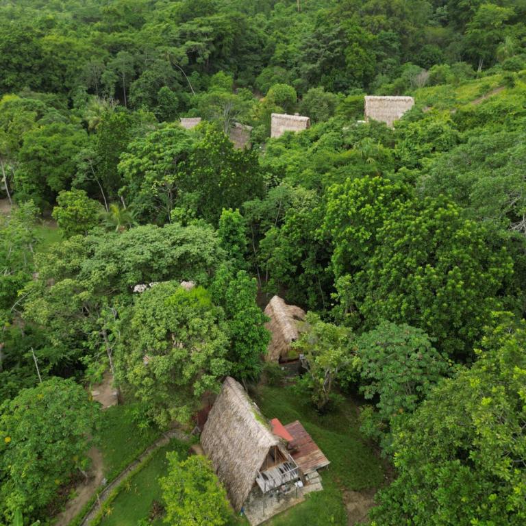 Tiny Houses Unique Tayrona - Dentro del Parque Tayrona - Chalet de 1 dormitorio - 17