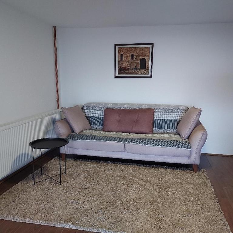Apartmani Milosevic - Appartement 1 Chambre - 2