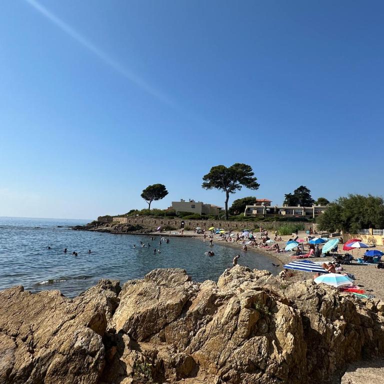 Studio 3 pers climatisé rénové, au calme, idéalement situé proche St Raphael-St Tropez, plage et commerces à pieds - Studio - 39