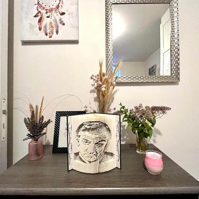 Le Cosy, Rives Entre Lyon et Grenoble, lit Queen 160, 4 pers, Calme côté jardin - Appartement 1 Chambre - 47