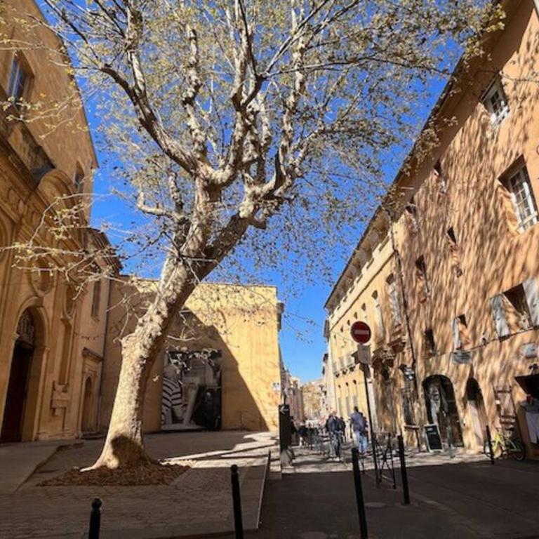 LUXURY Enchanting Duplex Aix Center - Apartamento de 3 dormitorios - 31