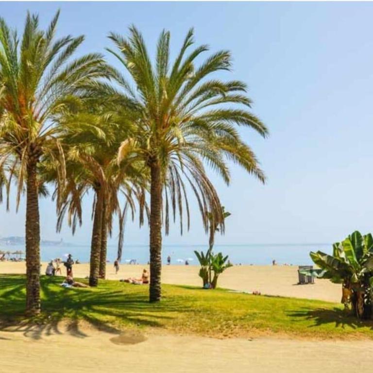 Malagueta 1 línea de playa - Apartamento de 1 dormitorio - 18