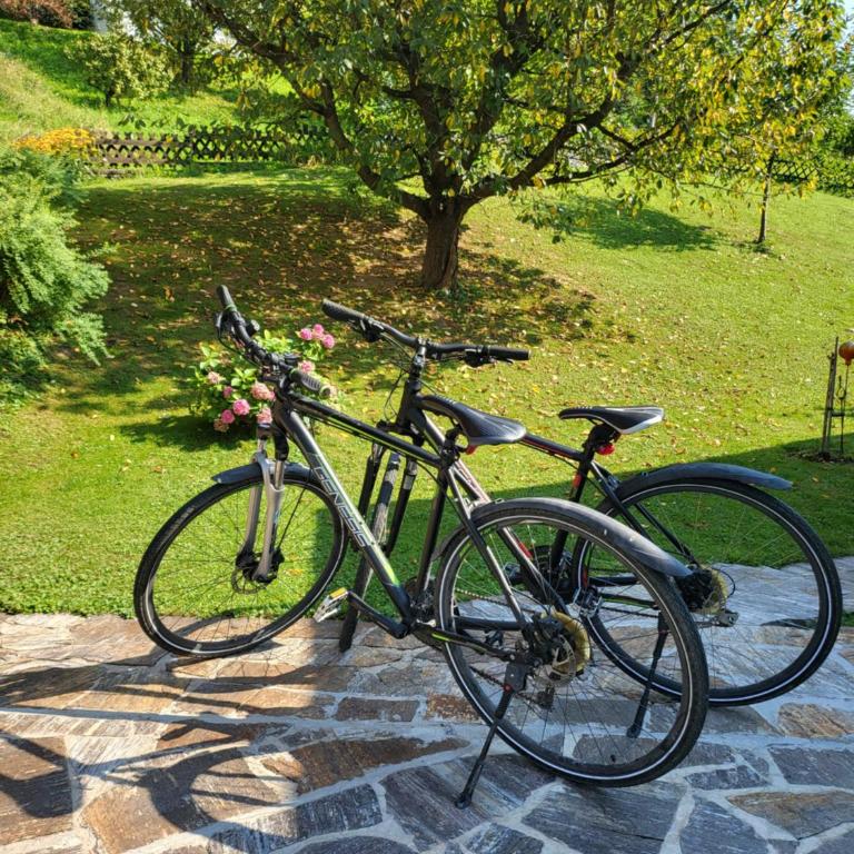 Ferienhaus Zangl am Seggauberg - Südsteiermark - Haus mit 1 Schlafzimmer - 18