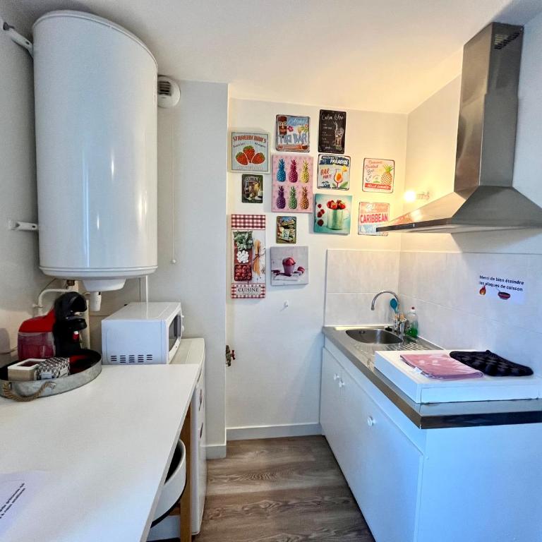 Le Cosy, Rives Entre Lyon et Grenoble, lit Queen 160, 4 pers, Calme côté jardin - Appartement 1 Chambre - 44