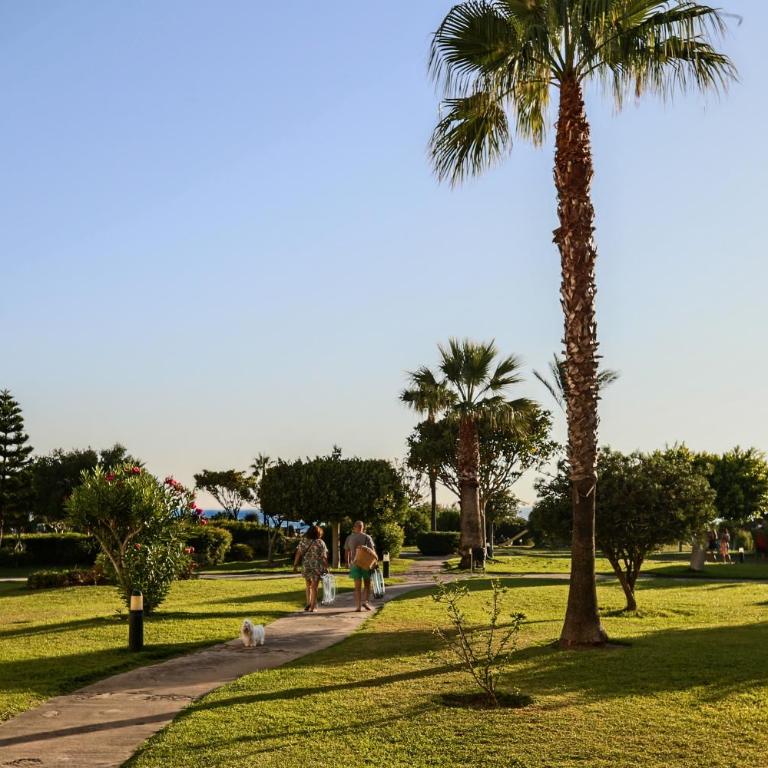 A LITTLE PIECE OF PARADISE -Mínimo 7 noches- - Apartment mit 1 Schlafzimmer - 20